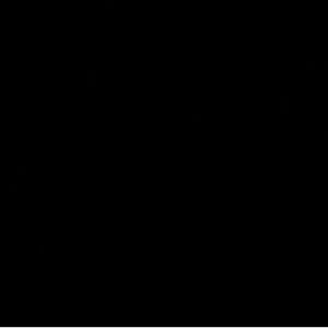 Women’s  Fashion bag multi accessory.